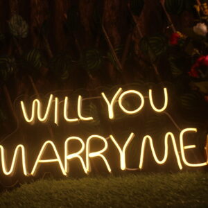 will you marry me in neon sign